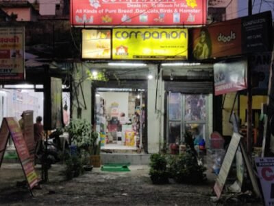 Companion Pet Shop
