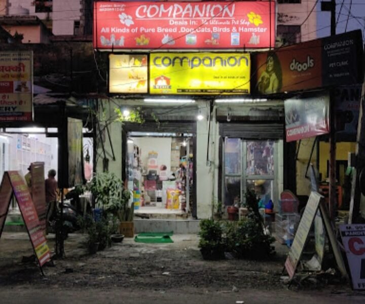 Companion Pet Shop